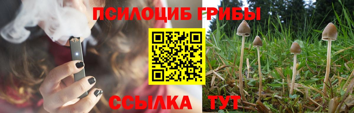 Псилоцибиновые грибы ЛСД  Вход с VPN  Сосновый Бор 