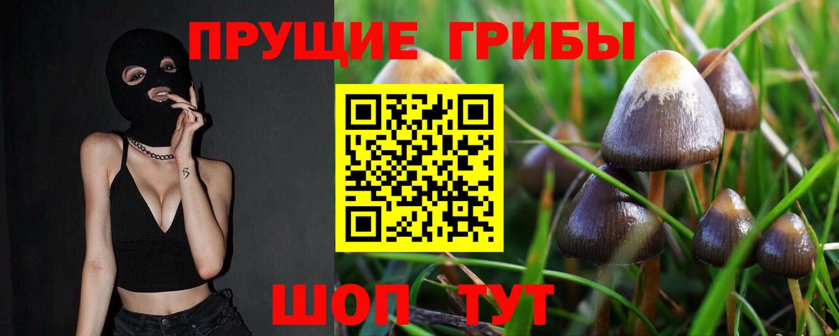 Меф МЯУ МЯУ   МДМА  Сосновый Бор  COCAIN  Вход с VPN  Бошки Шишки  Меф МЯУ МЯУ  Гашиш 